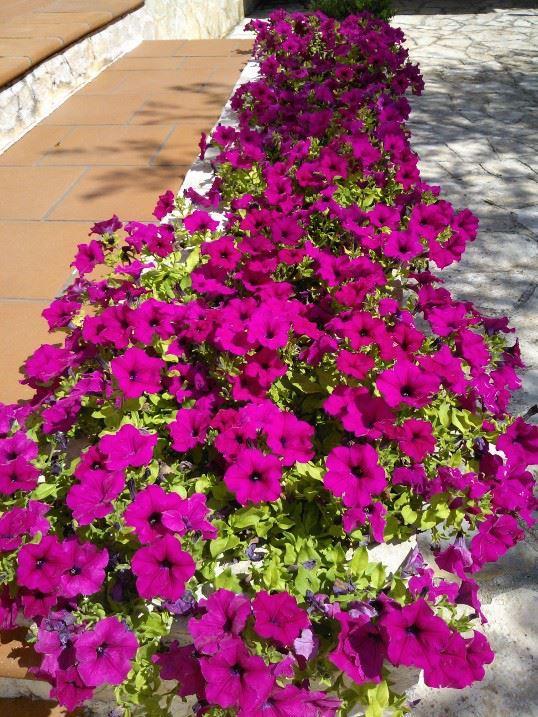 Albachiara Bed & Breakfast Monopoli Exterior photo